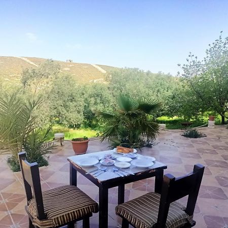 Farmer Stay Hostel Wadi Musa Luaran gambar